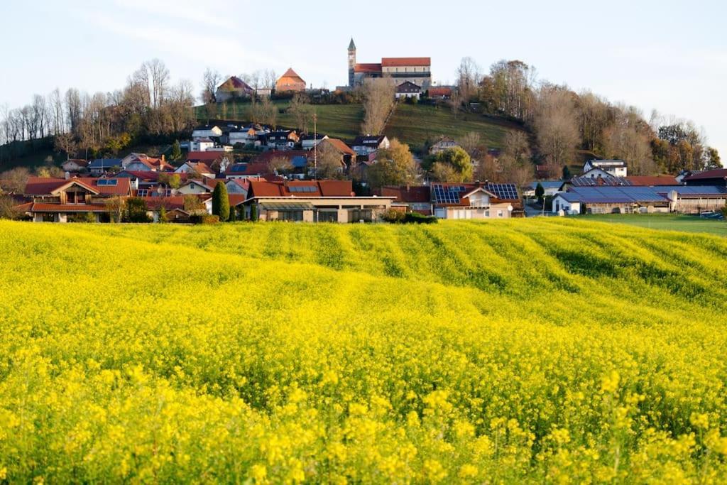Ferienwohnung Anita Jandelsbrunn Exteriör bild