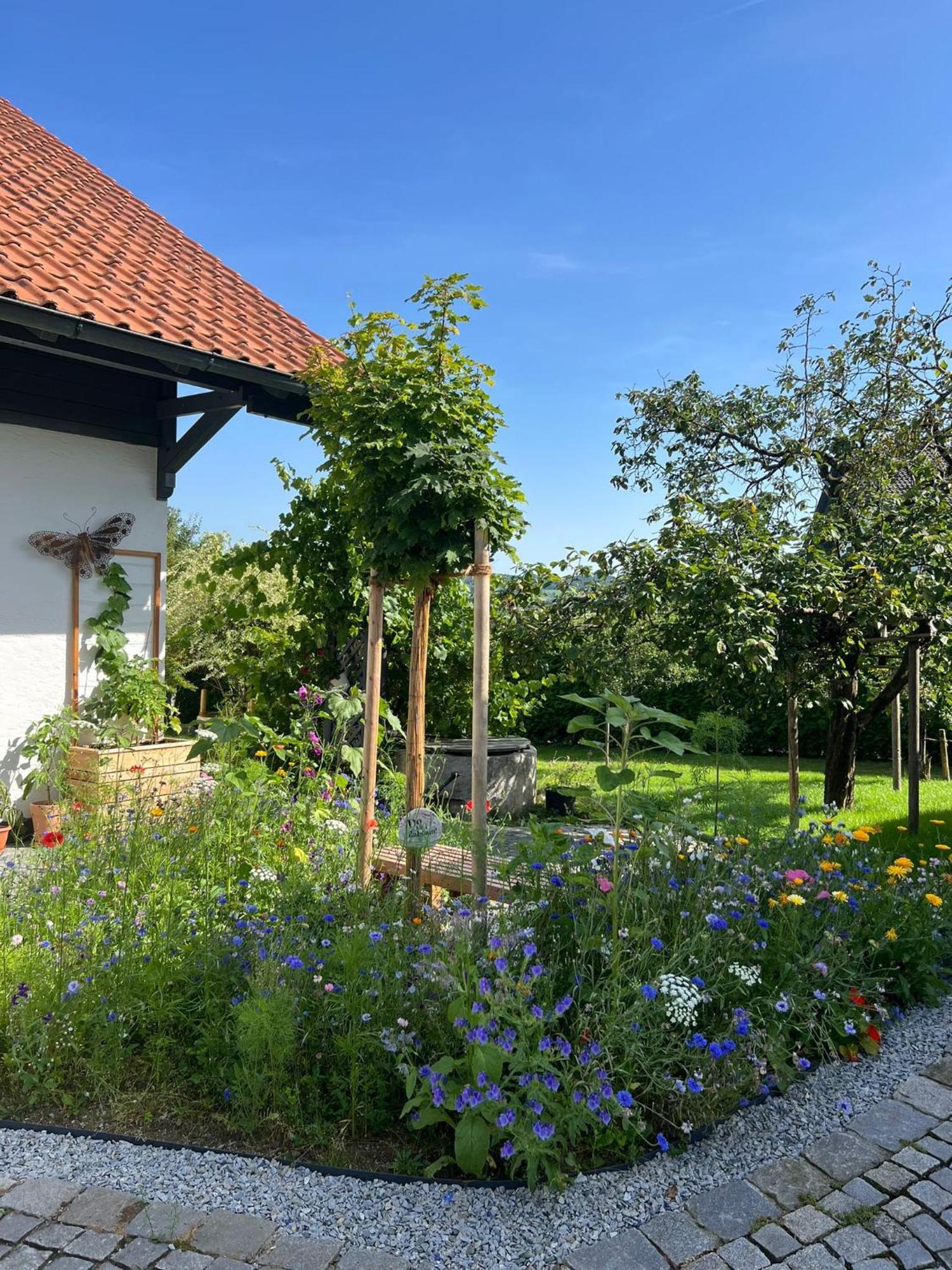 Ferienwohnung Anita Jandelsbrunn Exteriör bild