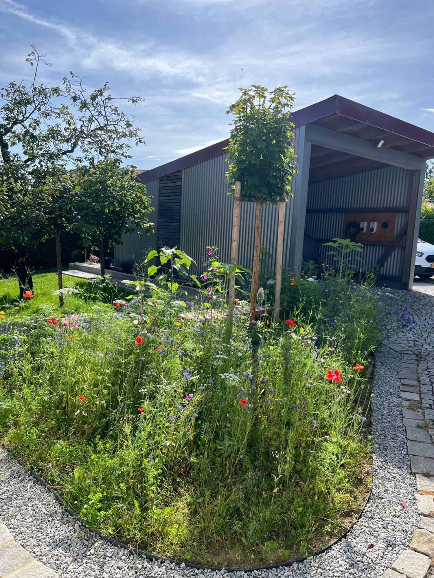 Ferienwohnung Anita Jandelsbrunn Exteriör bild